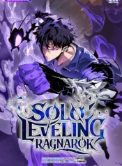 Solo Levelin