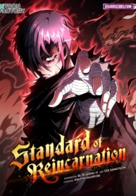 Standard of Reincarnation